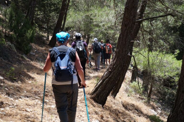 Rhodes: Hiking Tour to the Summit of Akramitis With Photos