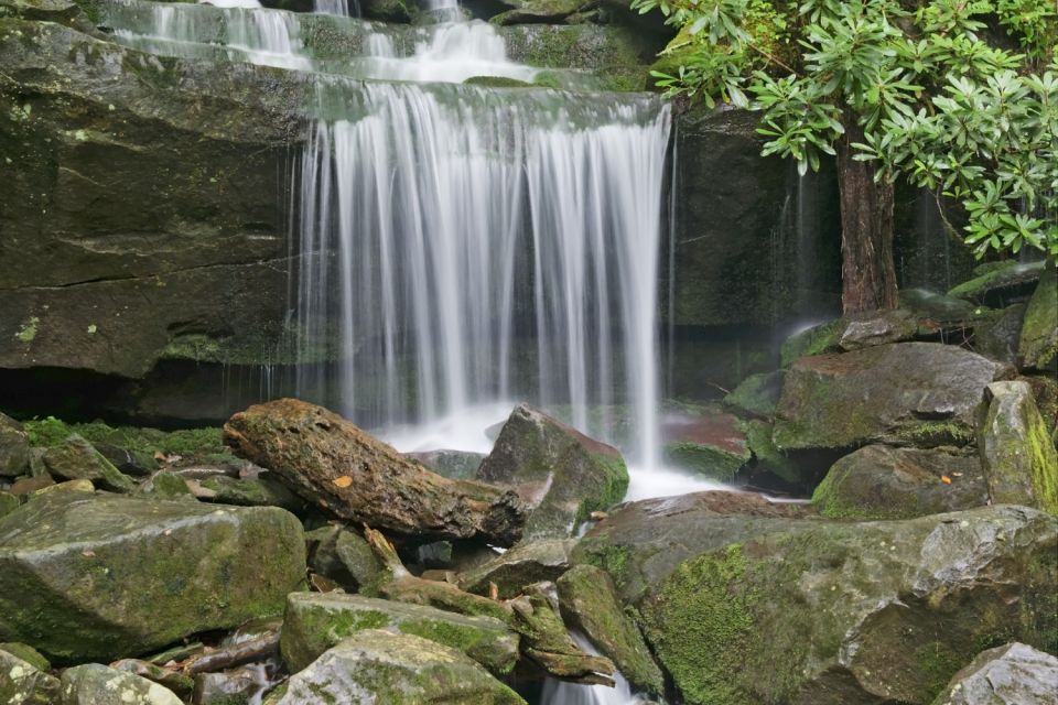 Roaring Fork Trail Self-Guided Driving Audio Tour - Location and Provider Details