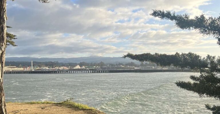 Santa Cruz Must Sees: A Self-Guided Driving Tour