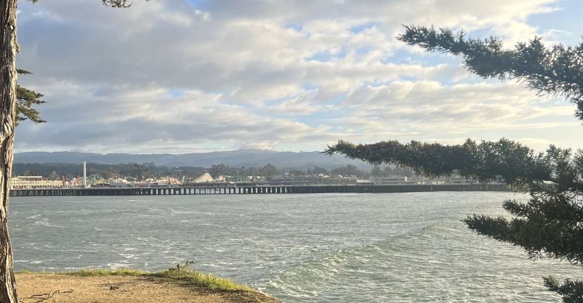 Santa Cruz Must Sees: A Self-Guided Driving Tour - Tour Highlights