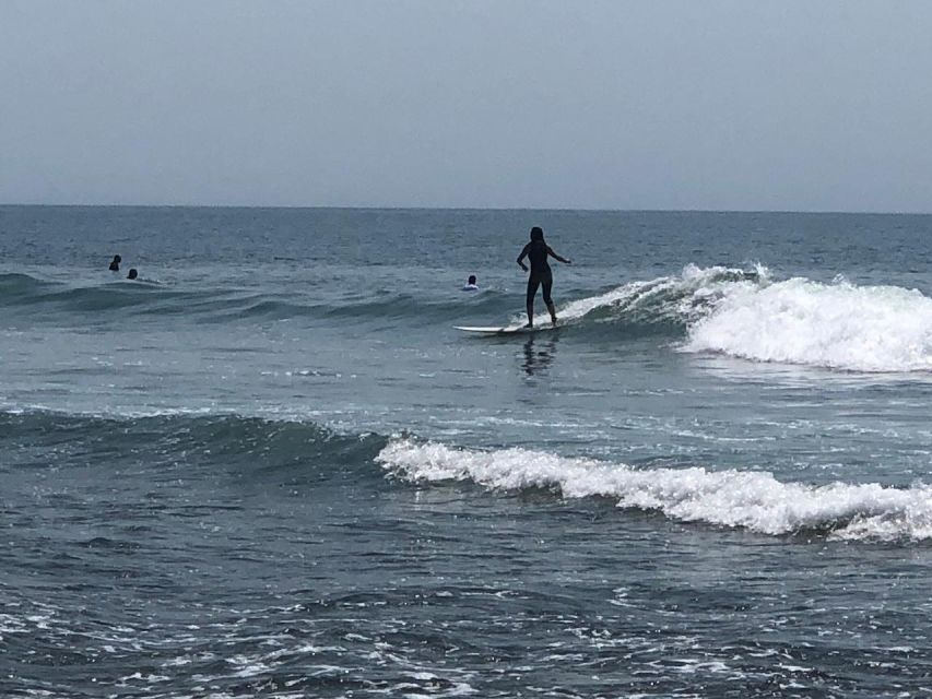 Santa Monica: Surfing Day Trip With Lunch - Activity Overview