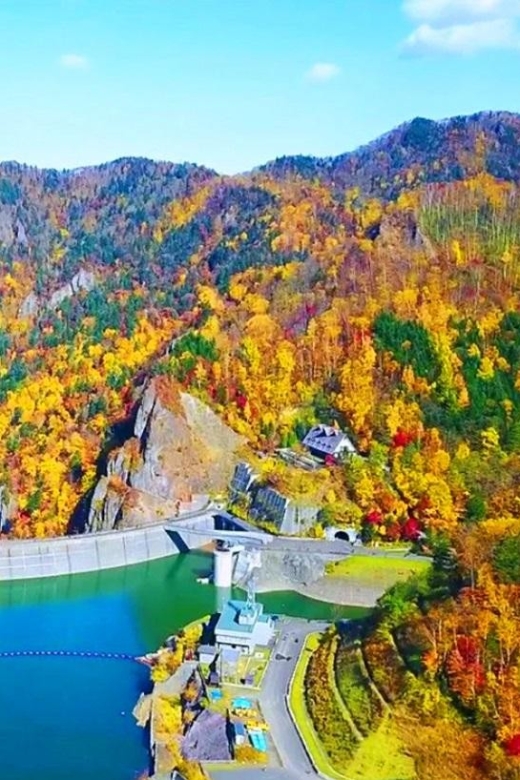Sapporo: Lake Toya, Mt. Yoteisan Park & Hot Springs Day Tour - Full Itinerary