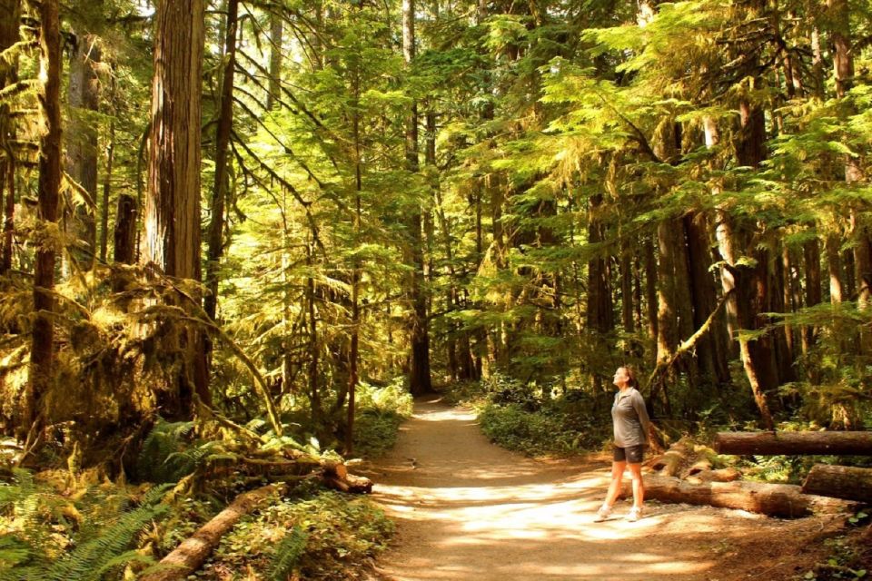 Seattle: Olympic National Park Small-Group Tour - Booking and Logistics