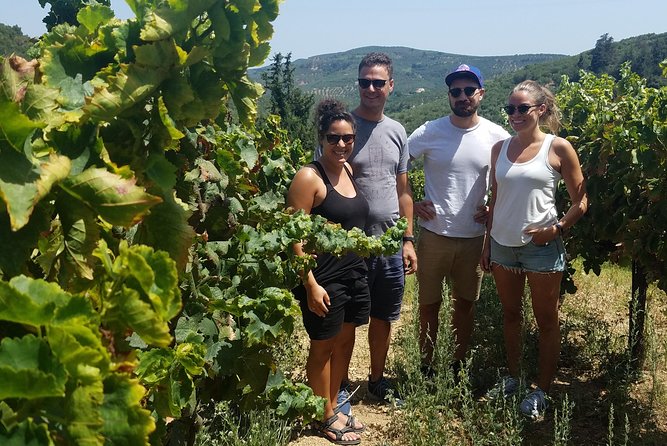 Semi-Private Wine Discovery Tour in Chania - Tour Highlights
