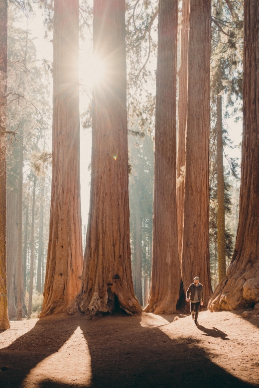 Sequoia & Kings Canyon National Parks: Two-Day Private Tour