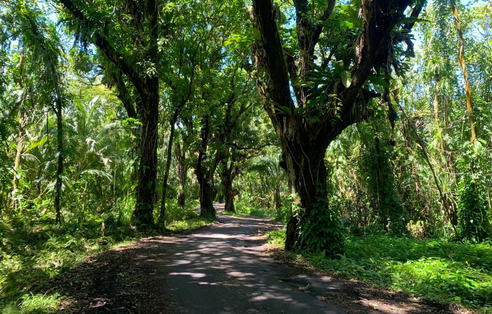 Short Private Hike To Secret Jungle Tide Pool - Customer Reviews