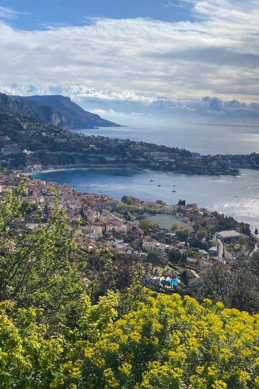 Small Group Guided Tour From Cannes - Tour Details