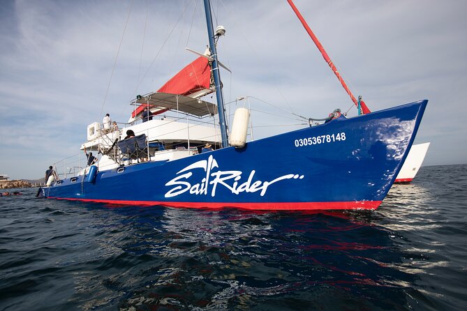 Snorkel, Lunch & Sail in Cabo San Lucas