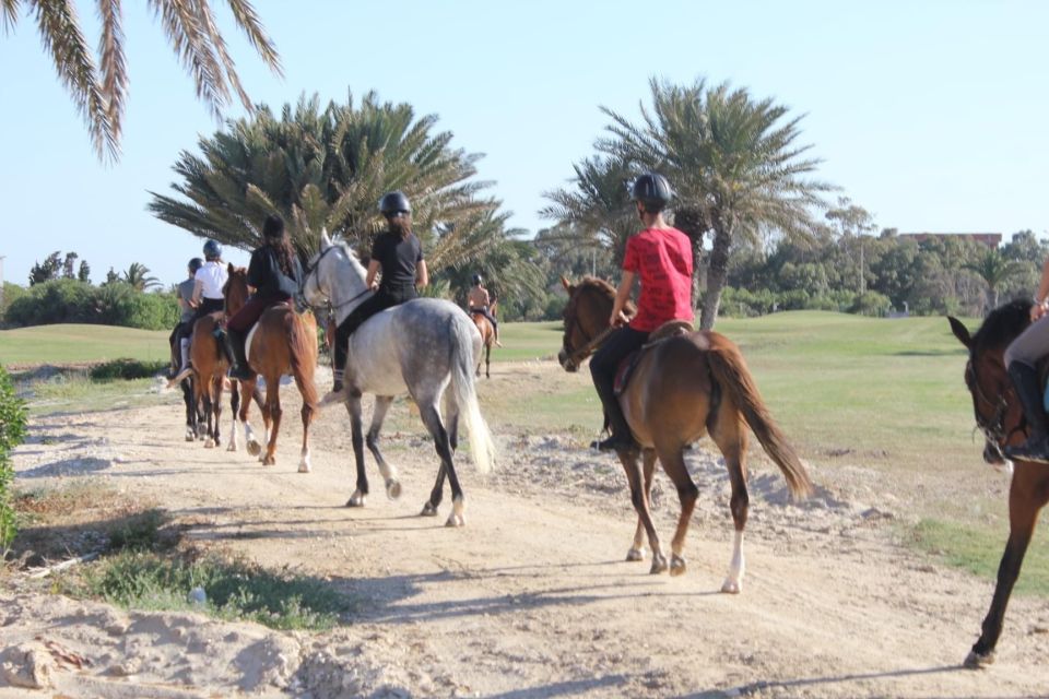 Sousse/Monastir: Private Horseback Riding Trip With Transfer - Activity Overview