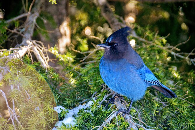 Stawamus Chief Hike & Photography - Trail Overview