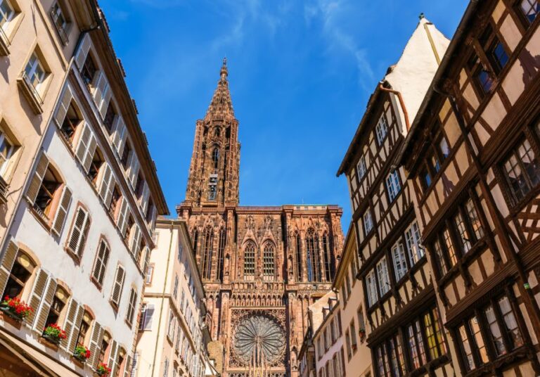 Strasbourg : Gourmet Bike Tour With a Local