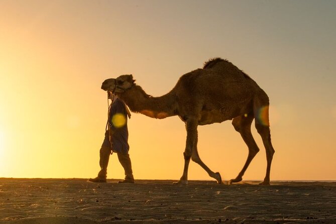 Sunset Beach Camel Ride With Mexican Buffet and Tequila Tasting - Participant Requirements and Restrictions