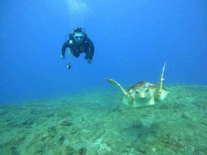 Tenerife: PADI Rescue Diver Course - Course Overview