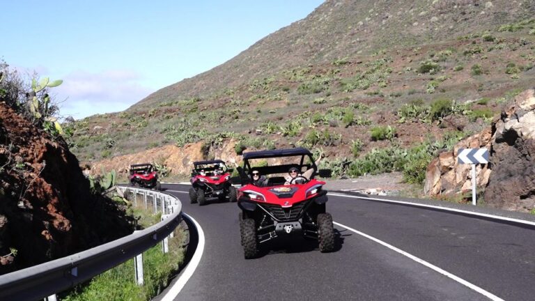 Tenerife: Teide National Park Guided Buggy Tour