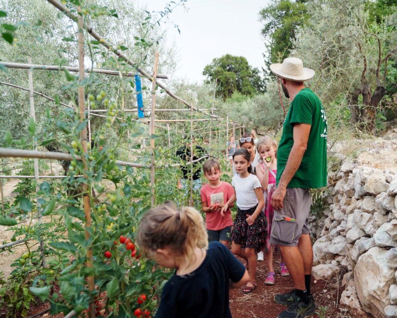 The Olive Oil Experience @ Lefkada Micro Farm - Experience Details