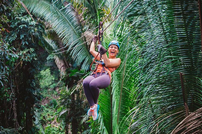 Thrilling Zipline Adventure at Bocawina Rainforest