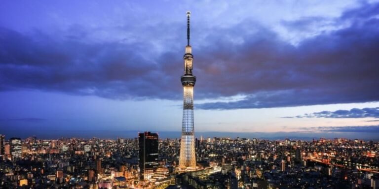 Tokyo: 1 Day Private Customizable City Tour by Car and Van