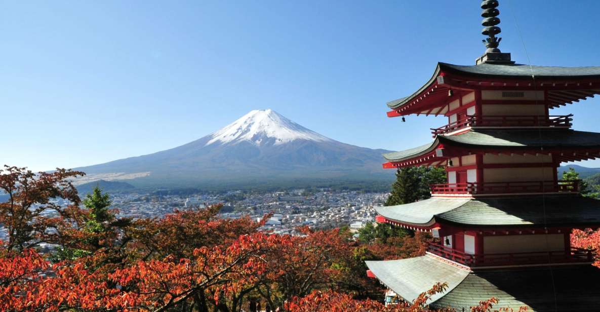 Tokyo: Private Sightseeing Day Trip to Mount Fuji and Hakone - Tour Highlights