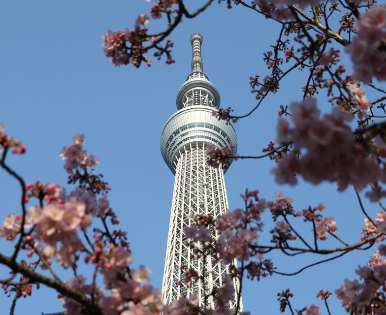 Tokyo Skytree: Admission Ticket and Private Hotel Pickup - Booking Details