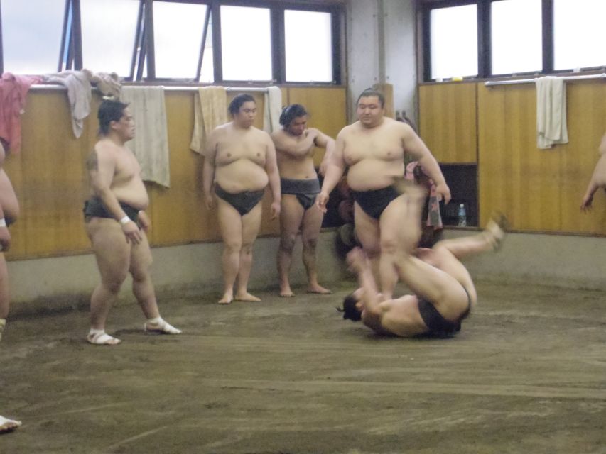Tokyo: Sumo Morning Practice Viewing Tour - Activity Details