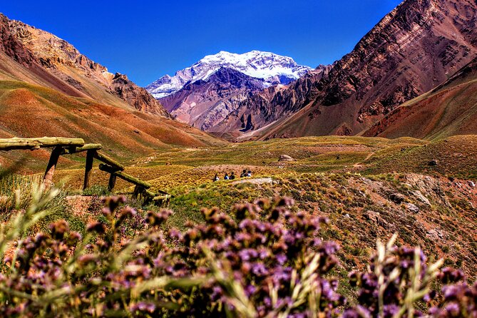 Tour Aconcagua Park in Small Group From Mendoza With Barbecue Lunch