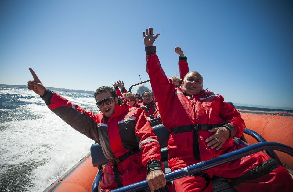 Vancouver: Howe Sound Fjords, Sea Caves & Wildlife Boat Tour - Tour Details