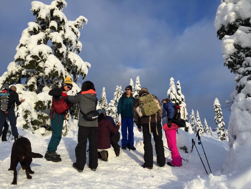 Vancouver: Panoramic View Snowshoeing Tour - Tour Details