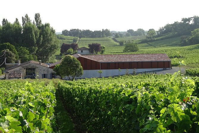 Verres-Tigineux Workshop and Tasting in Saint-Émilion