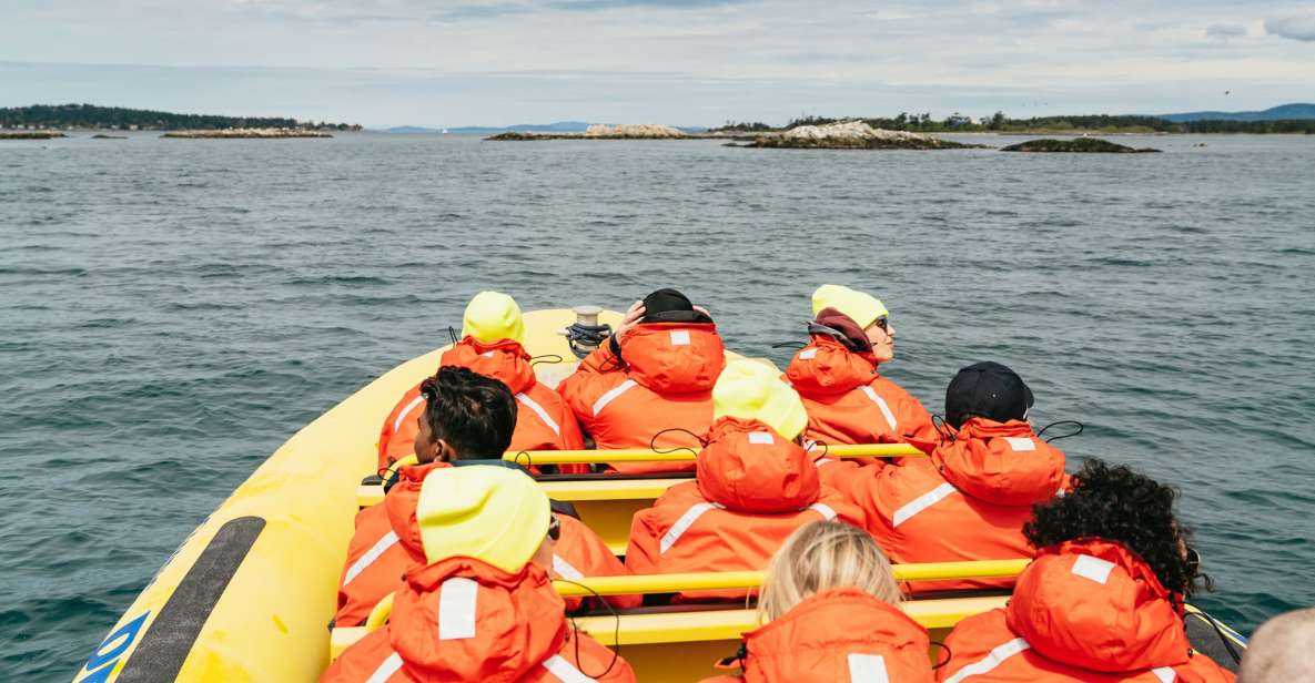 Victoria: 3-Hour Whale Watching Tour in a Zodiac Boat - Activity Details