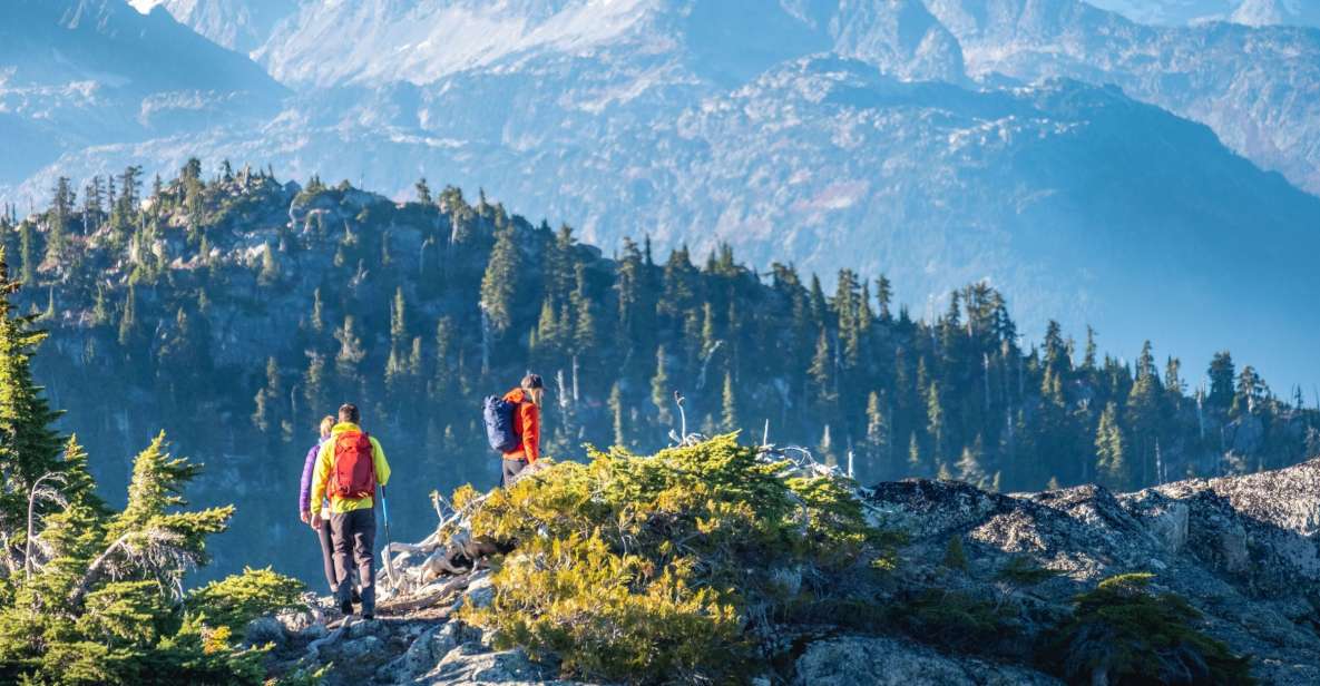 Whistler: Guided Wilderness Hike - Pricing and Cancellation Policy