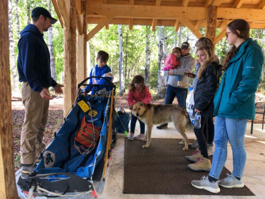 Willow: Summer Dog Sledding Ride in Alaska - Activity Details