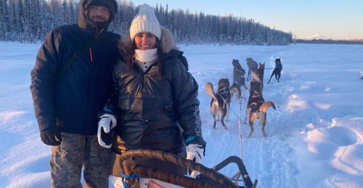 Willow: Traditional Alaskan Dog Sledding Ride - Booking Details