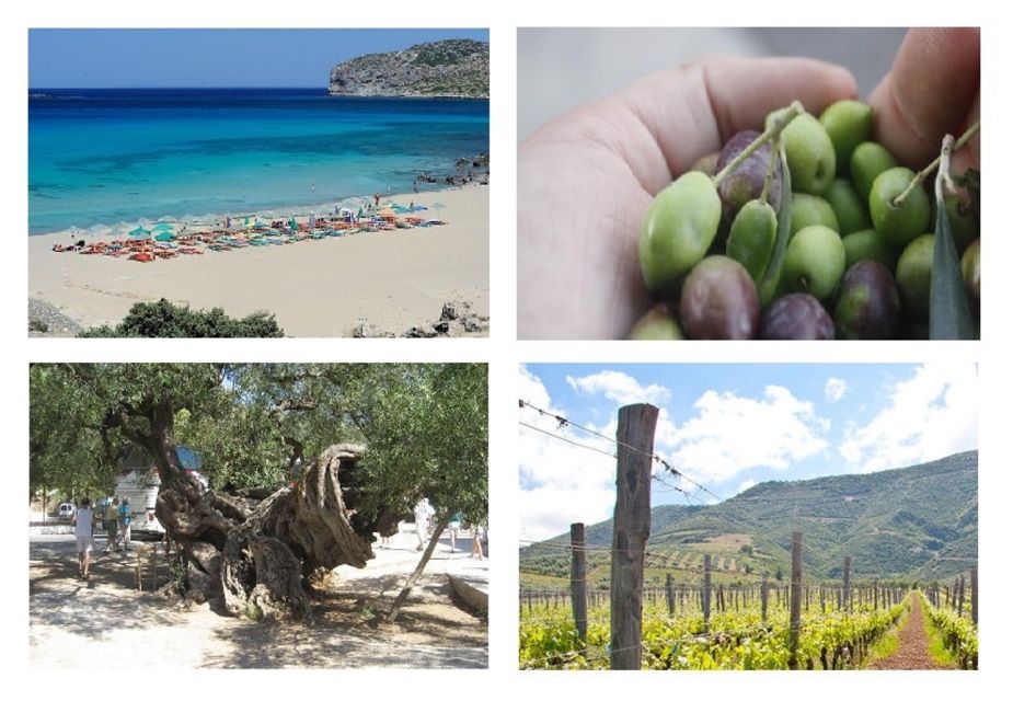 Wine and Olive, Falasarna Beach Day Tour - Tour Highlights