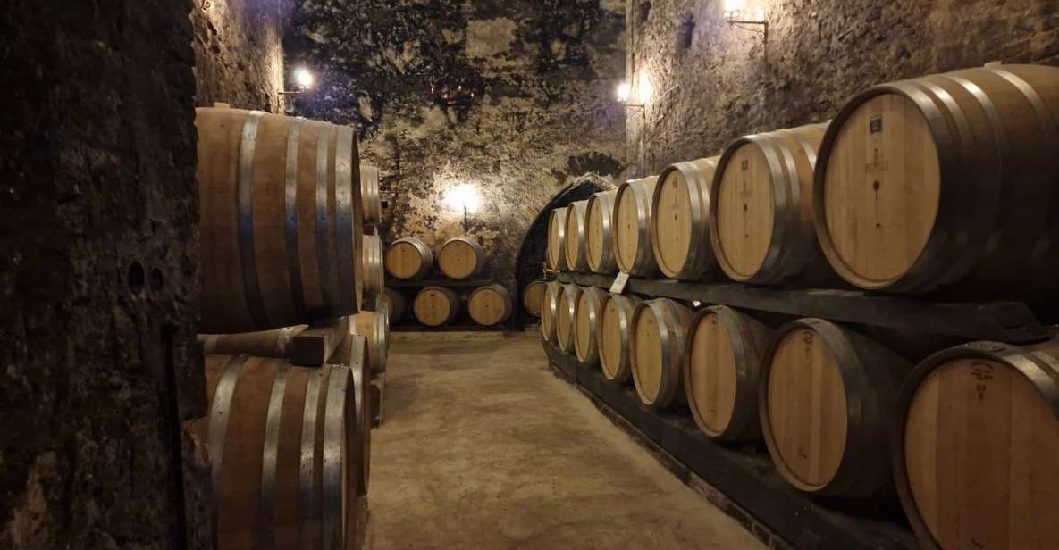 Wine Tasting in Montepulciano Tuscany Private Tour From Rome - Tour Details