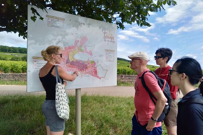 Wine Walking Tour Through the Burgundian Vineyards – 2h