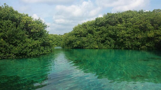 2 Tanks Cenote Diving Adventure in Tulum for Certified Divers - Key Points