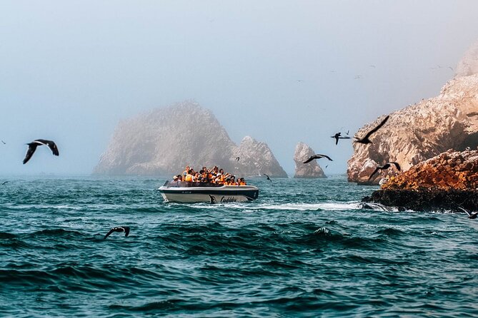 2 Day Tour From Lima: Paracas, Ballestas Island and Huacachina - Customer Reviews and Ratings