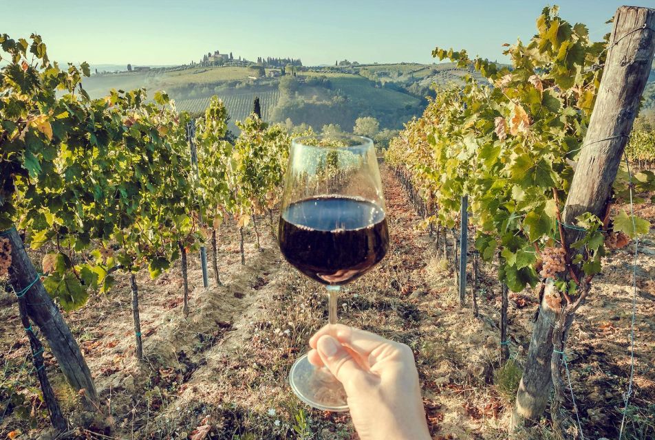 2 Wineries Chianti Wine Tasting Private Tour - Tour Description