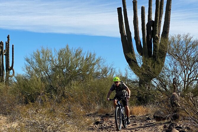 3 Hour Sonoran Desert Private Guided Mountain Bike Tour - Cancellation and Refund Policy
