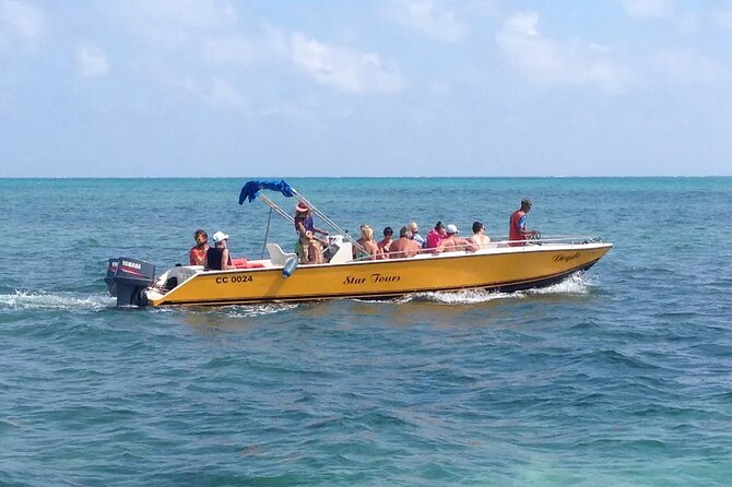 3 Hours Barrier Reef Tour in Caye Caulker, Belize - Inclusions and Amenities