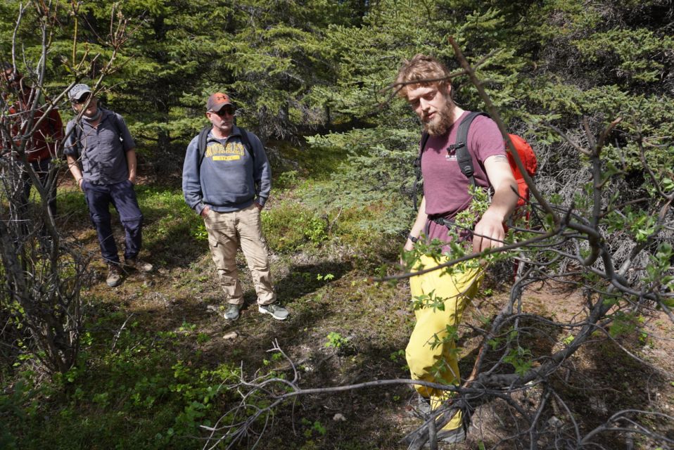4 Hour Off-Trail Wilderness Wonders Tour in Denali - Wilderness Exploration