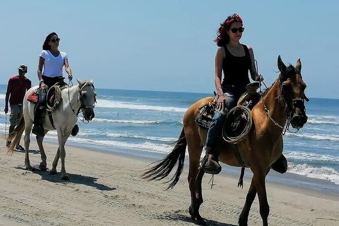 Acapulco Beach Horseback Riding Tour With Baby Turtle Release - Tour Information Overview