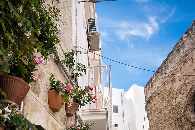 Alberobello, Monopoli Polignano Small-Group Guided Tour From Bari - Accessibility Information