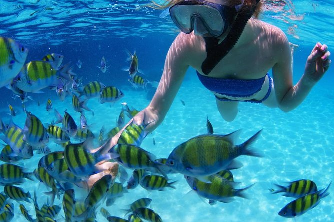 All Inclusive San Blas Islands Day Tour From Panama City - Booking and Cancellation Policies