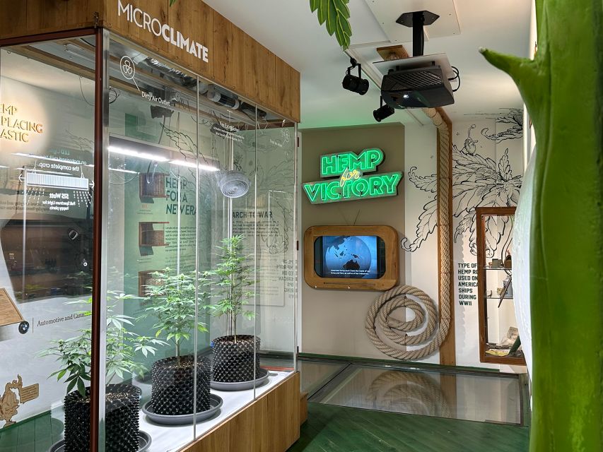 Amsterdam: Cannabis Museum Entry Ticket - Museum Experience Details