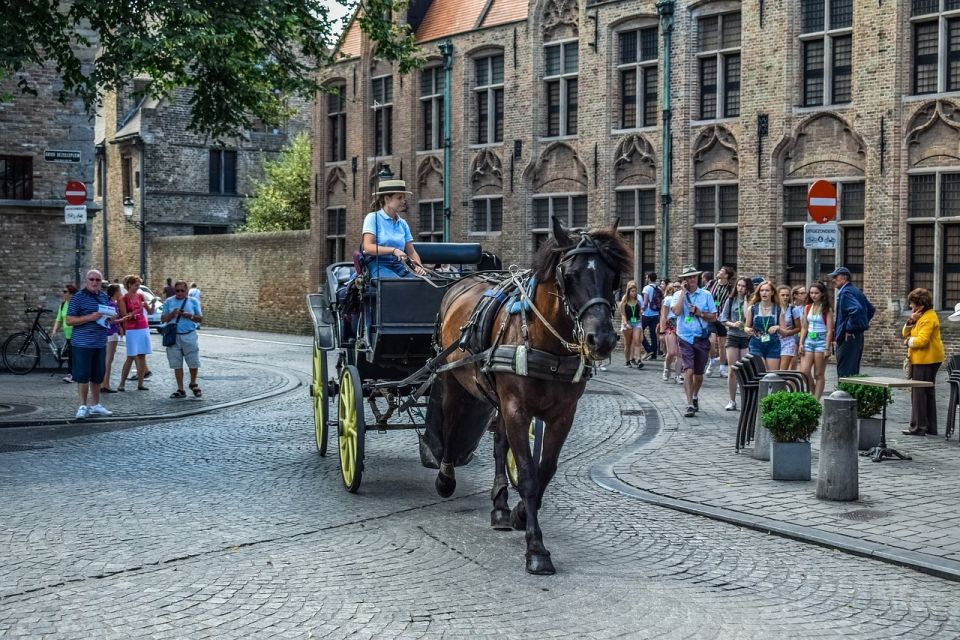 Amsterdam: Private Transfer to Bruges - English-Speaking Driver and Accessibility