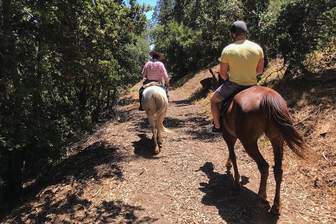 Authentic Andes Adventure: Private Horse Riding and Cheese & Wine - Traveler Experiences and Reviews