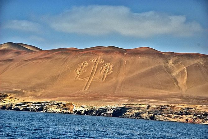 Ballestas Islands and Paracas Reserve From San Martin Port - Tour Itinerary and Highlights