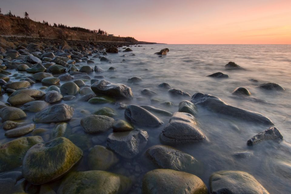 Best of Hopewell Rocks & Fundy National Park From Moncton - Activity Description