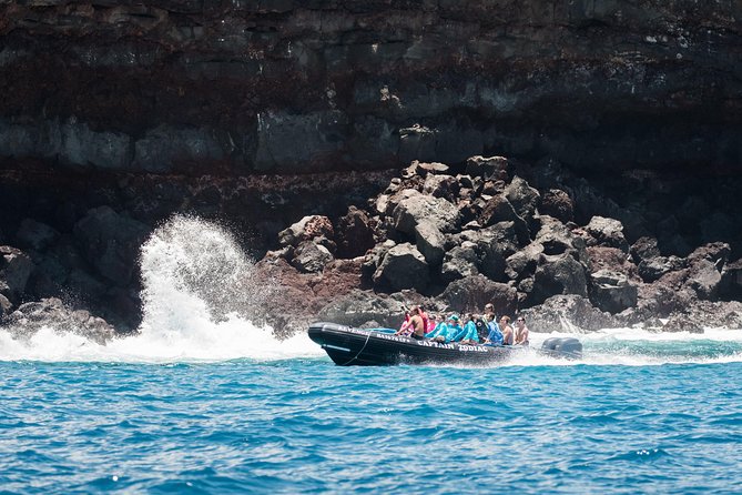 Big Island, Hawaii: Zodiac Snorkel Tour to Kealakekua Bay  - Big Island of Hawaii - What to Expect